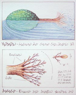 Swimming 'tree,' from the Codex Seraphinianus