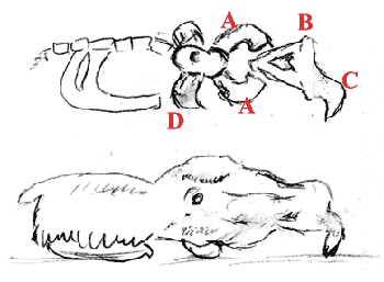 Wedge Animal - Alternate Design